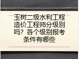 玉树二级水利工程造价工程师分级别吗？各个级别报考条件有哪些