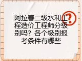 阿拉善二级水利工程造价工程师分级别吗？各个级别报考条件有哪些