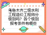 乌鲁木齐二级水利工程造价工程师分级别吗？各个级别报考条件有哪些