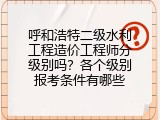 呼和浩特二级水利工程造价工程师分级别吗？各个级别报考条件有哪些