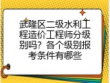 武隆区二级水利工程造价工程师分级别吗？各个级别报考条件有哪些
