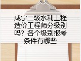 咸宁二级水利工程造价工程师分级别吗？各个级别报考条件有哪些