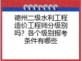 德州二级水利工程造价工程师分级别吗？各个级别报考条件有哪些
