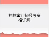 桂林审计师报考资格详解