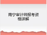 南宁审计师报考资格详解