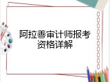 阿拉善审计师报考资格详解