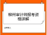 柳州审计师报考资格详解