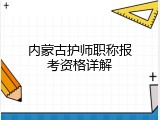 内蒙古护师职称报考资格详解