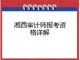 湘西审计师报考资格详解