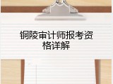 铜陵审计师报考资格详解