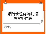 铜陵高级经济师报考资格详解