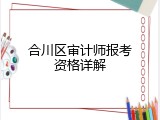 合川区审计师报考资格详解
