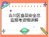 合川区食品安全总监报考资格详解
