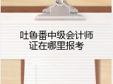 吐鲁番中级会计师证在哪里报考