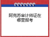 阿克苏审计师证在哪里报考
