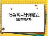 吐鲁番审计师证在哪里报考