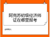 阿克苏初级经济师证在哪里报考