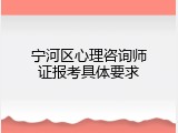 宁河区心理咨询师证报考具体要求