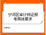 宁河区审计师证报考具体要求