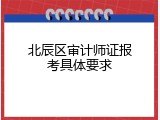 北辰区审计师证报考具体要求