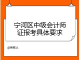 宁河区中级会计师证报考具体要求