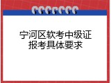 宁河区软考中级证报考具体要求