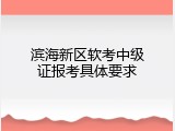 滨海新区软考中级证报考具体要求