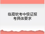临夏软考中级证报考具体要求