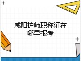 咸阳护师职称证在哪里报考