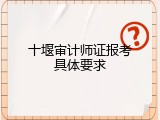 十堰审计师证报考具体要求