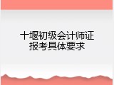 十堰初级会计师证报考具体要求