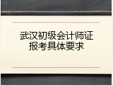 武汉初级会计师证报考具体要求