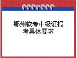 鄂州软考中级证报考具体要求