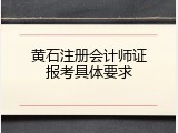 黄石注册会计师证报考具体要求