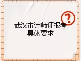 武汉审计师证报考具体要求