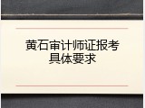 黄石审计师证报考具体要求