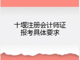 十堰注册会计师证报考具体要求