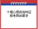 十堰心理咨询师证报考具体要求