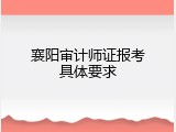 襄阳审计师证报考具体要求