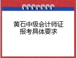 黄石中级会计师证报考具体要求