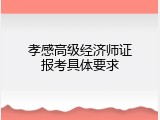 孝感高级经济师证报考具体要求