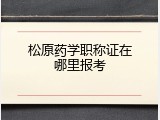 松原药学职称证在哪里报考