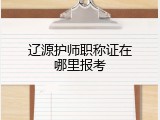 辽源护师职称证在哪里报考