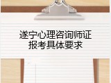 遂宁心理咨询师证报考具体要求