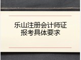 乐山注册会计师证报考具体要求