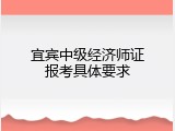 宜宾中级经济师证报考具体要求