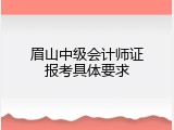 眉山中级会计师证报考具体要求