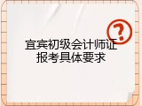 宜宾初级会计师证报考具体要求