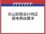 乐山初级会计师证报考具体要求