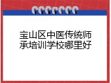 宝山区中医传统师承培训学校哪里好